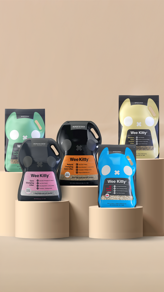 Premium With Purpose: The Innovation Gap Customers Can Feel